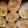 El cooksnap de Flavia Diaz cuando hizo Pan casero con chicharrón🥖🧉.