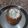 Asha Sharma's cooksnap of when they made Fruit cream.
