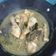 Cooksnap dari swtcj2ggwz@privaterelay.appleid.com untuk resep Opor ayam kuning