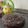 El cooksnap de Laura De Angelis 🇺🇾 cuando hizo Crema de chocolate para relleno o cobertura de tortas o budines.