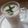 صورة من Salby Bm 🇩🇿🇩🇿 «أم ريحانة و غفران» ، شاركها بعد تجربة وصفة عصير رمان بالحليب 🥤🥤