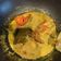Cooksnap dari Dhilla Febriana untuk resep Lobster masak santan