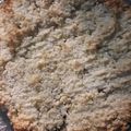 El cooksnap de mafaldaporsiempre cuando hizo Torta de coco y dulce de leche.