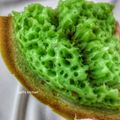 Cooksnap dari Anggela Ayik untuk resep Terang Bulan Teflon 18 Cm || Ekonomis || No telur