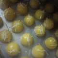 Cooksnap dari Amateurskitchen untuk resep Nastar lumer