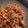 El cooksnap de Edwar Galvis cuando hizo Pulpo al ajíllo.