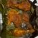 Cooksnap dari Dinda Rizqia untuk resep Ayam Panggang Pedas (Bumbu Merah)