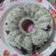 Cooksnap dari Aminah Kusuma Astuti untuk resep Puding milo oreo susu