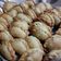 Cooksnap dari Nawä Cewe'x Angel untuk resep Pastel isi Sayuran (pastel basah)