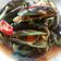Cooksnap dari Teny Fat Karwati untuk resep Kerang Saus Padang