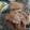El cooksnap de Elena B. López cuando hizo Torrijas fáciles de hacer.