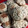 El cooksnap de Claudia cuando hizo Galletitas de avena, canela y manzana.