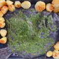 El cooksnap de Miguel R-C cuando hizo Rodaballo al horno con patatas, verduras y almendras.