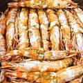Cooksnap của Dương Phan khi họ làm theo món Tôm nướng sả