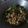 Cooksnap dari Lutvia Daud untuk resep Tumis Cumi Asin Cabe Gendot