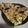 Falguni Shah's cooksnap of when they made પાલક પનીર પરોઠા.