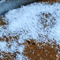 El cooksnap de María Cantera cuando hizo Torta de chocolate con harina integral y avena.