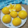 Cooksnap dari Nathasya's Kitchen untuk resep Pumpkin Mantou / Mantau Labu Kuning Menul