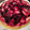 El cooksnap de Soledad Gonzalez Diaz cuando hizo Tarta de queso (en microondas).