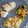 El cooksnap de soriallan cuando hizo Rollos de pollo y bacon.