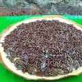 Cooksnap dari Dapur Yas untuk resep Martabak Mini/Terang Bulan Anti Gagal Anti Bantet dan Rasa Lumeeer