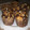 El cooksnap de LoretoSoledad cuando hizo Panettone - Pan Dulce.