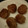 El cooksnap de Oleg Erygin cuando hizo Nuggets veganas.