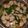 Cooksnap dari intan amalia untuk resep Sayur sop baso bumbu tumis