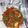 Cooksnap dari deria untuk resep Daging Teriyaki Saus Tiram
