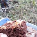 El cooksnap de Yamila Rivero cuando hizo Torta de chocolate fácil.