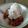 Randy's cooksnap of when they made Strawberry Rhubarb Cobbler.