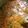 Swati Sheth's cooksnap of when they made મેથી મટર મલાઈ (Methi Matar Malai Recipe In Gujarati).