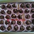 Cooksnap dari novita cahya untuk resep Cornflakes Coklat