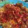 Cooksnap dari Hilyah untuk resep Telur Geprek (anti gagal)