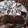 El cooksnap de Stefani Elizabeth cuando hizo Exquisito brownie húmedo SIN GLUTEN, SIN LACTOSA y SIN HUEVO (Lo hacemos en la multiprocesadora).