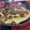 El cooksnap de Luis Fernando Gonzalez cuando hizo Tortilla de Avena, Banana y Miel.