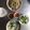 Cooksnap của Thoại khi họ làm theo món Canh nghêu giải nhiệt mùa hè. Không cần bất cứ một loại phụ gia nào canh vẫn ngọt