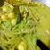 Cooksnap dari Ayu Wib untuk resep Sayur labu siam kuah santan