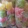Cooksnap dari _Vifa untuk resep Sentiling Singkong