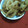 El cooksnap de Dario Portales cuando hizo Tortas fritas de la abuela.