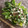 El cooksnap de IVJ89 cuando hizo Ensalada de pera, gorgonzola y nueces.