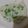 El cooksnap de Alberto Jose Pascal cuando hizo Risotto de champiñones y roquefort.