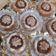 صورة من 🍓🍓 ام اسلام 🍓🍓، شاركها بعد تجربة وصفة كيكة الكاكاو والنسكويك Cake Cocoa and Nesquik