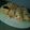 Aysher Babangida (Ayshert Cuisines)'s cooksnap of when they made Shawarma.