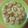 Marta Sattin's cooksnap of when they made Chicche di patate dolci con cuore fondente.