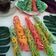 Cooksnap dari Deffi Mom's Ahnaf untuk resep Sarang Laba Laba Chrispy