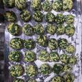El cooksnap de Pilar Igoa Yoseffi cuando hizo Malfatti de Espinaca y Ricota.