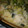 El cooksnap de laura .arrascaeta cuando hizo Tarta con masa de calabaza, relleno de zapallitos, sin huevo.