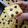 Cooksnap dari softcookie untuk resep Proll Tape
