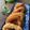 Cooksnap dari Cooking with Ay untuk resep Cumi Goreng Crispy - renyah empuk